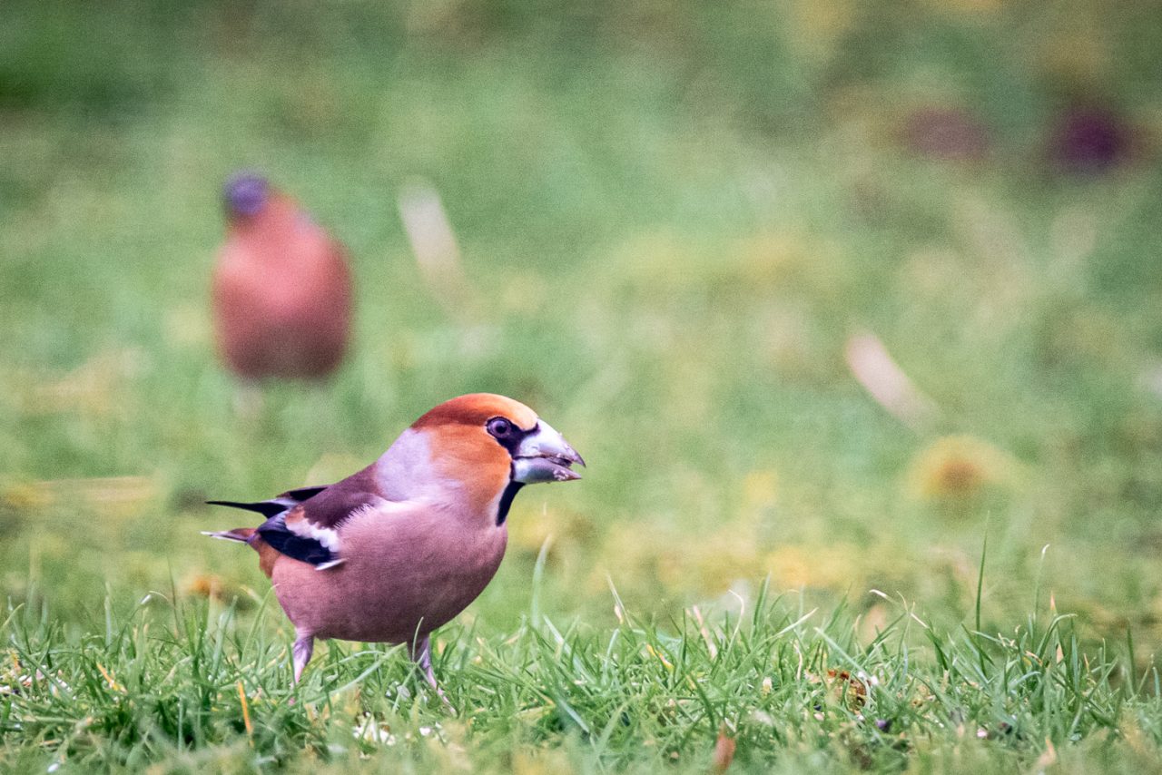061-365v5 – Awe — photograph by Mark Seton