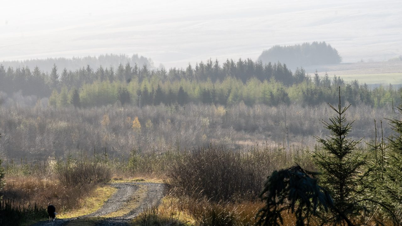 94-365v5 – As The Mist Rolled In — photograph by Mark Seton