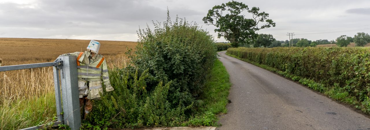330/365v3 – Scarecrow and Tree — photograph by Mark Seton