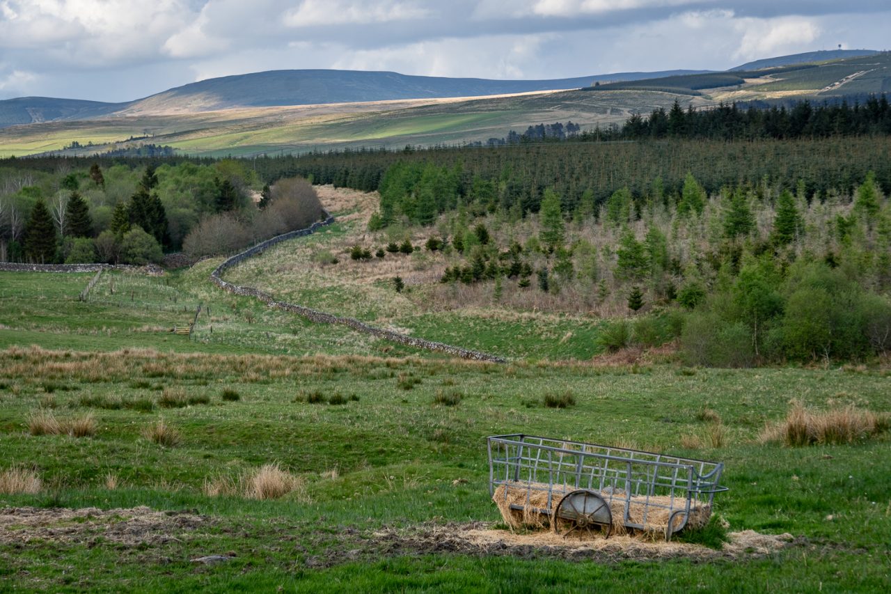 124-365v5 The Hay Rack — photograph by Mark Seton