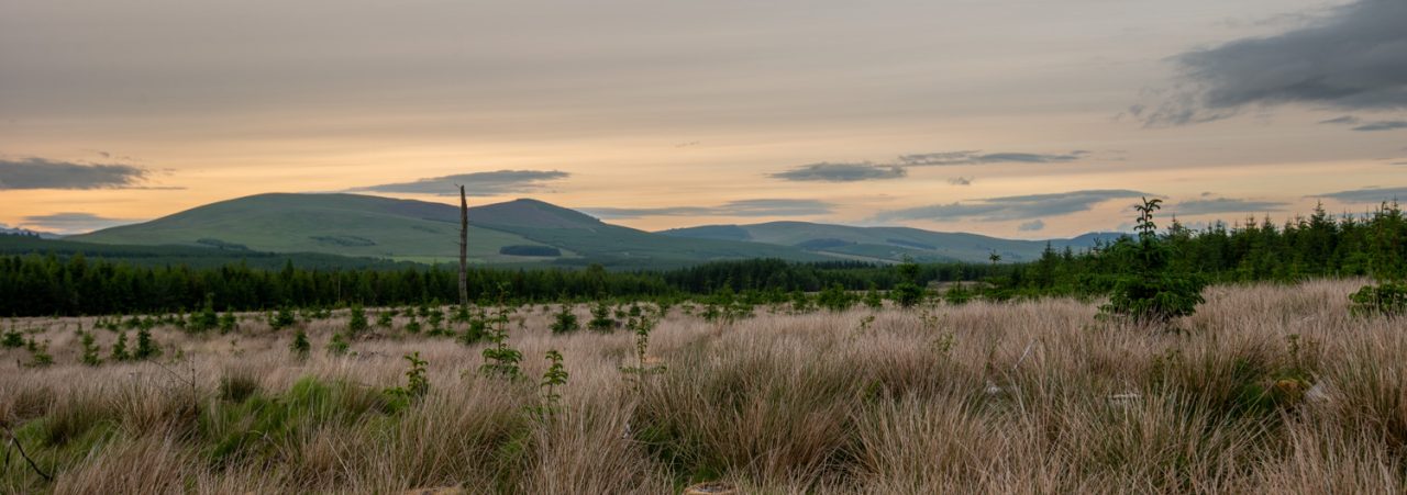 148-365v5 – The Outback — photograph by Mark Seton
