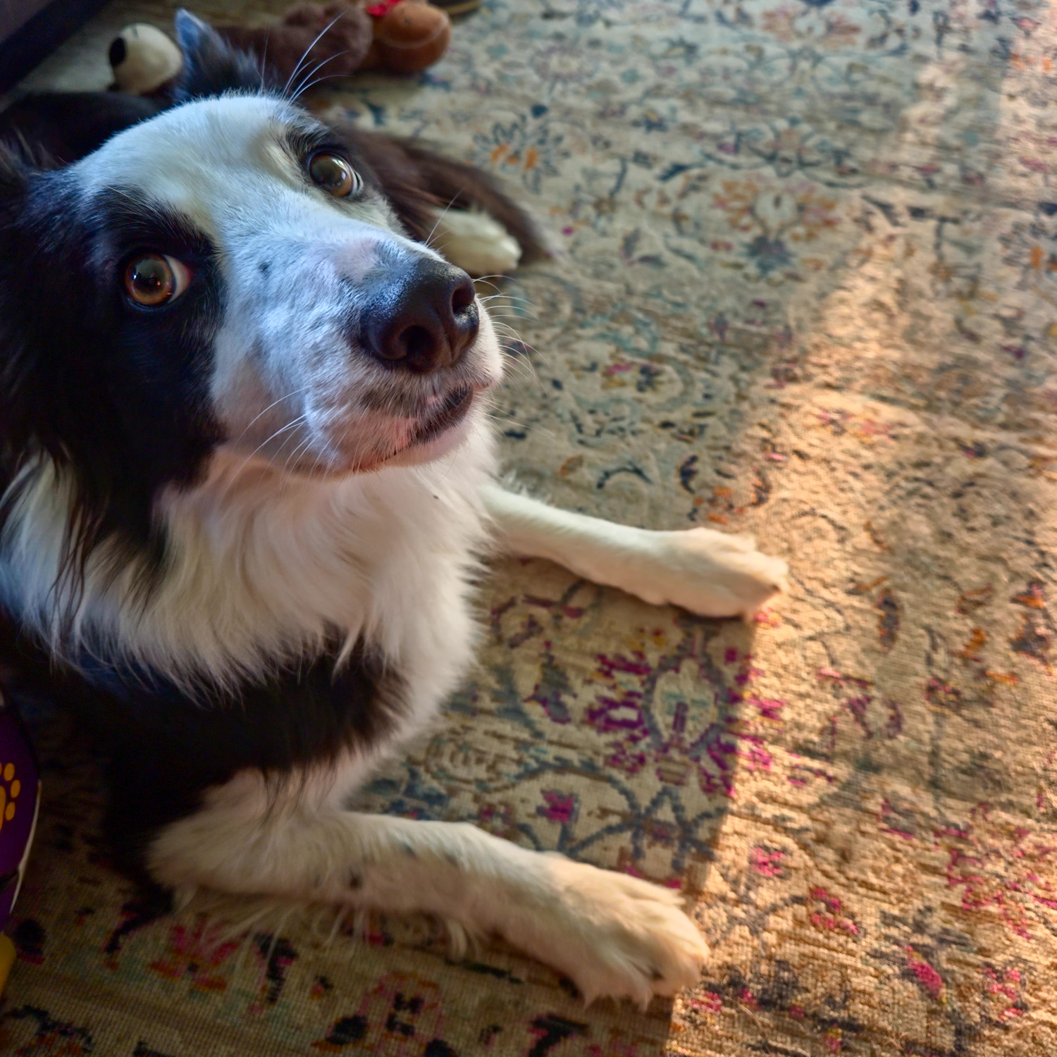 The Jess Is Worried